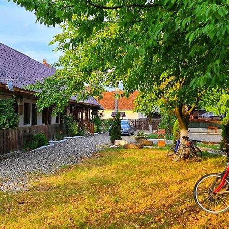 La Romaneasa Сэпынца Экстерьер фото